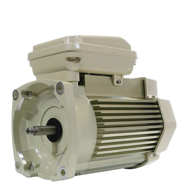Pentair TEFC Replacement Motor WhiperFlow & SuperFlo Pumps